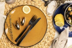 Anovi Mosselbestek - Verguld - 2-delig -Keukengerei Winkel 1 Mosselen Anovi 1