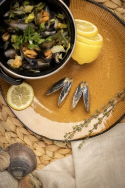 Anovi Mosselbestek 2-delig -Keukengerei Winkel 5 Mosselen Anovi 5