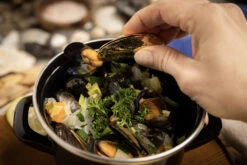 Anovi Mosselbestek - Verguld - 2-delig -Keukengerei Winkel 8 Mosselen Anovi 8 1