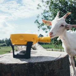 Boska Fondueset Cheesy - 6 Personen - Geel/zwart - 1.3 Liter -Keukengerei Winkel 853512 BOSKAFondueSetSuperCheesy 2 2400x