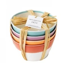 Royal Doulton Kommen 1815 Bright Colours ø 15 Cm - 4 Stuks -Keukengerei Winkel 9022 2
