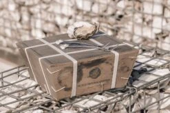 Anovi Oestervorkjes - 4 Stuks 8 Anovi Oestervorkjes - 4 Stuks -Keukengerei Winkel Oysterforks