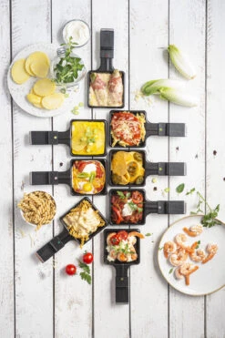 Fritel Steengrill SG 2180 -Keukengerei Winkel SG 2180 Stone Raclette Grill 142081 09