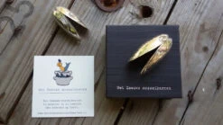 Anovi Mosselbestek 2-delig -Keukengerei Winkel anovi mosselbestek