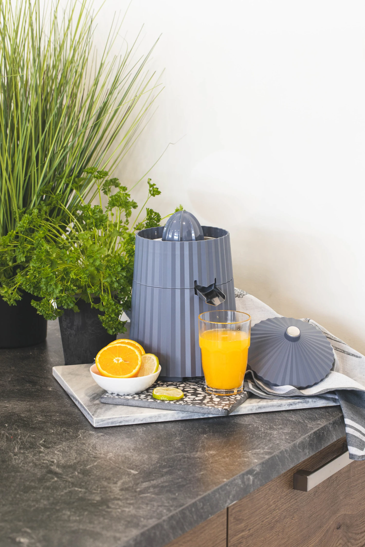 Alessi Citruspers Plissé - Elektrisch - Grijs - Michele De Lucchi - MDL07 G 4 Alessi Citruspers Plissé - Elektrisch - Grijs - Michele De Lucchi - MDL07 G - Afbeelding 2