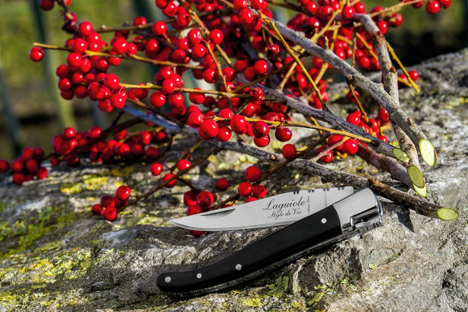 Laguiole Style De Vie Zakmes Zwart Ebbenhout 6 Laguiole Style De Vie Zakmes Zwart Ebbenhout - Afbeelding 4